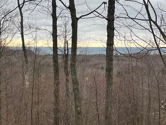 Silver Vista Mears, MI 49436