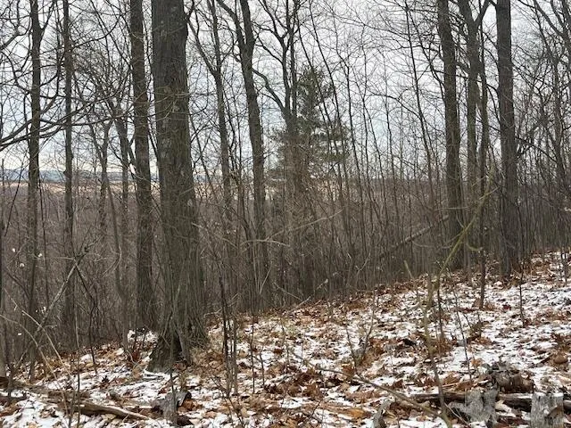 Silver Vista Mears, MI 49436