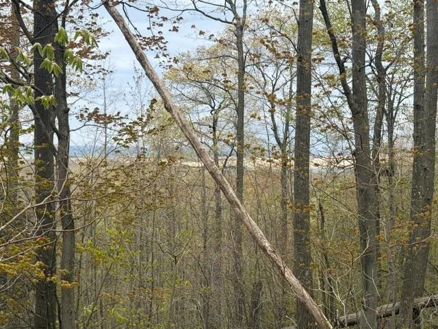 Silver Vista Mears, MI 49436
