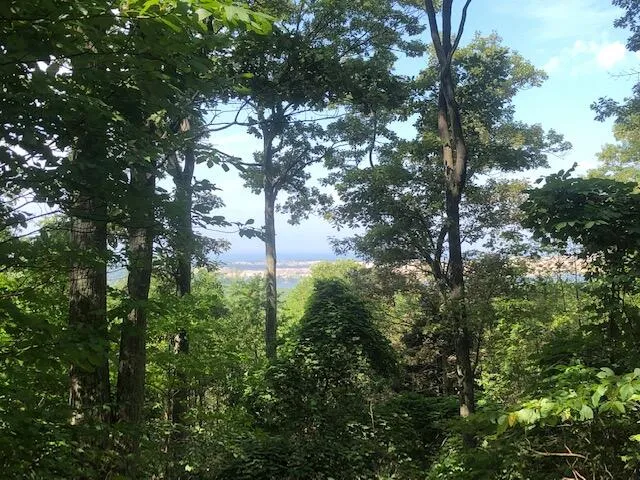 Silver Vista Mears, MI 49436