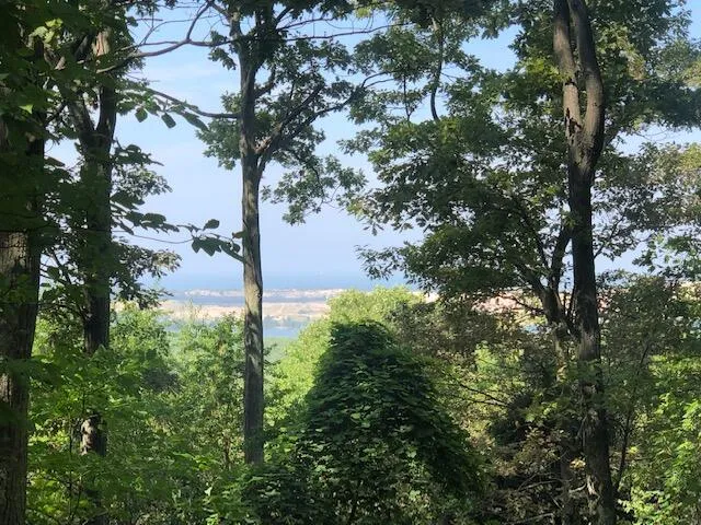 Silver Vista Mears, MI 49436