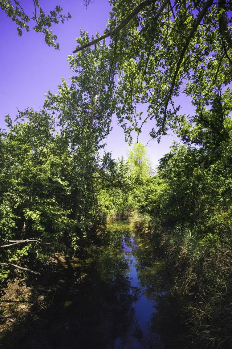 12451 Fm 2325 Road Wimberley, TX 78676