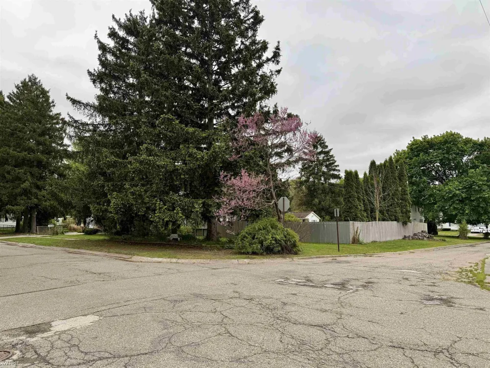 518 Oak Street Mt Morris City, MI 48458