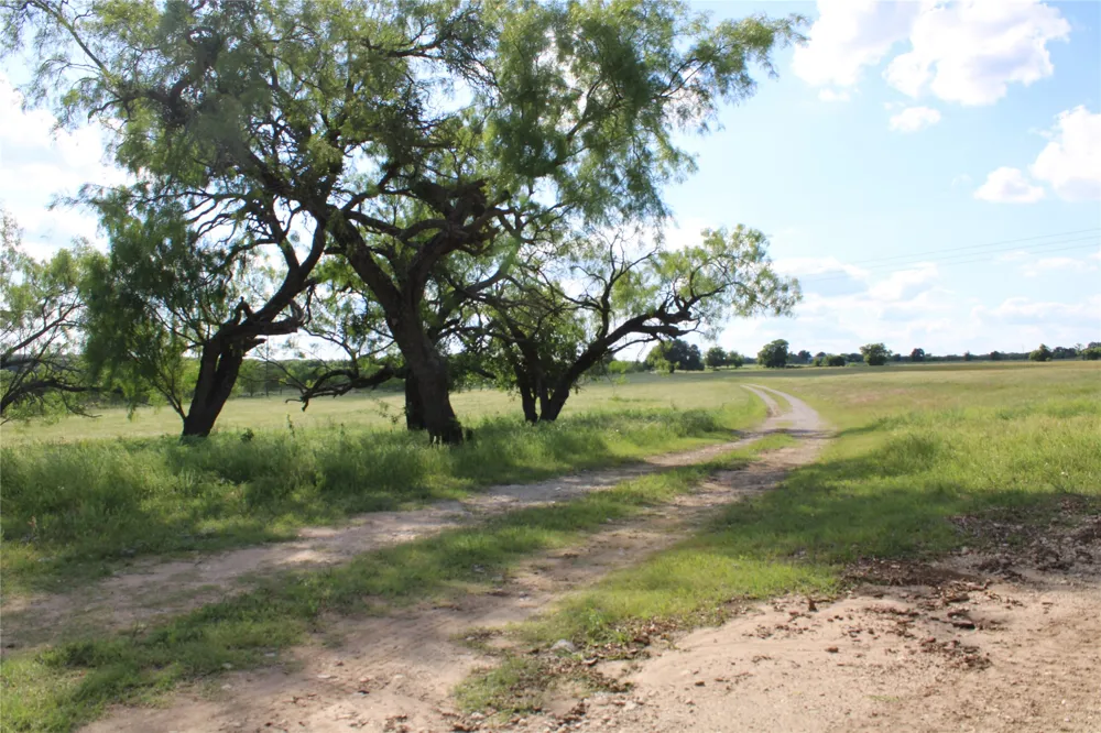 1521 FM 590 Comanche, TX 76442
