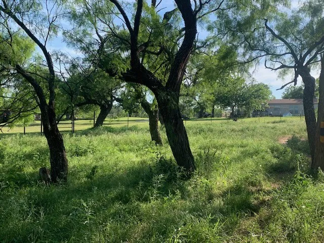 1521 FM 590 Comanche, TX 76442
