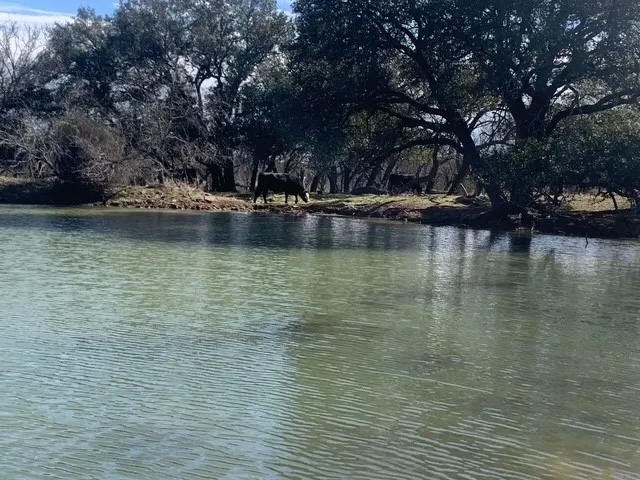 1521 FM 590 Comanche, TX 76442