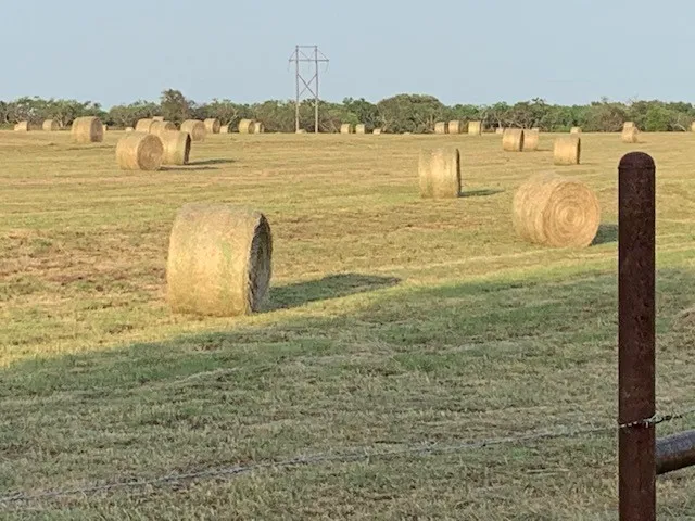 1521 FM 590 Comanche, TX 76442