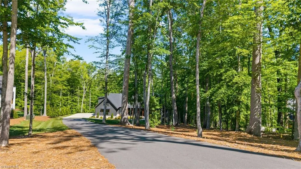 9674 Lissara Camp Court Lewisville, NC 27023