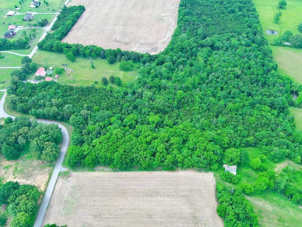 0 Newtown Rd Unionville, TN 37180