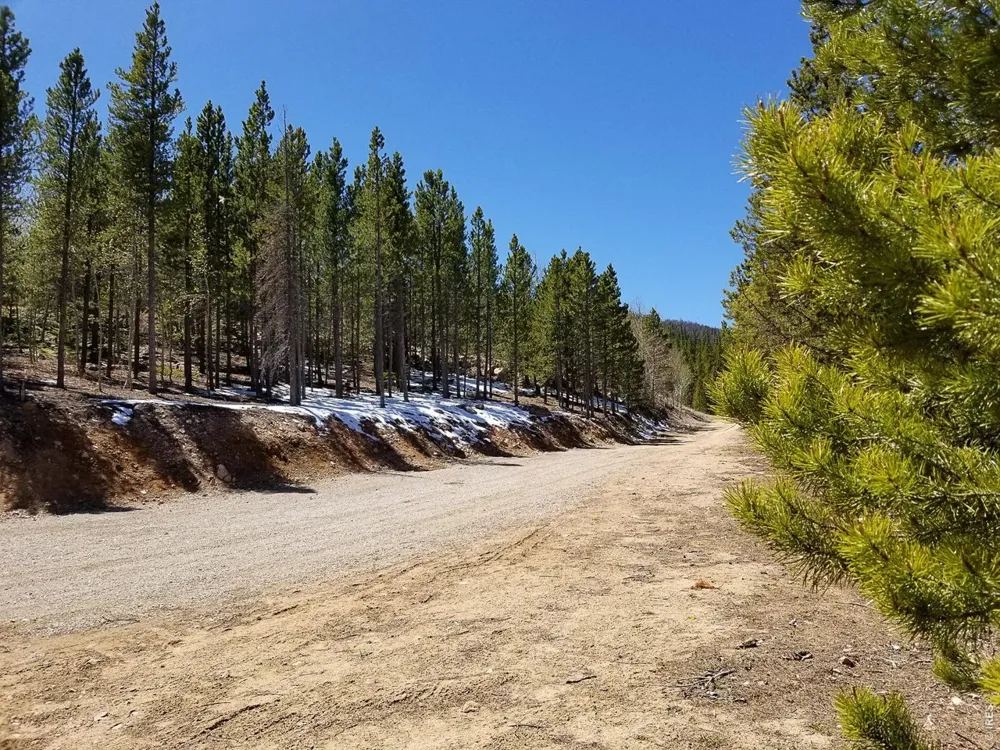 3200 Ottawa Way Red Feather Lakes, CO 80545