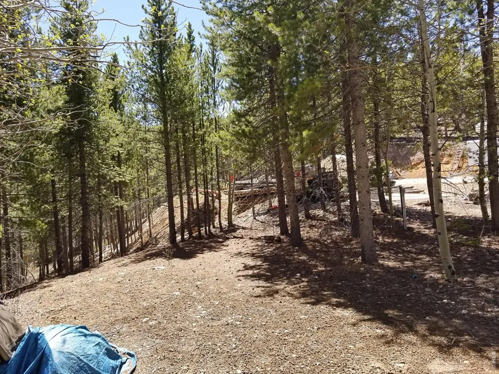 3200 Ottawa Way Red Feather Lakes, CO 80545
