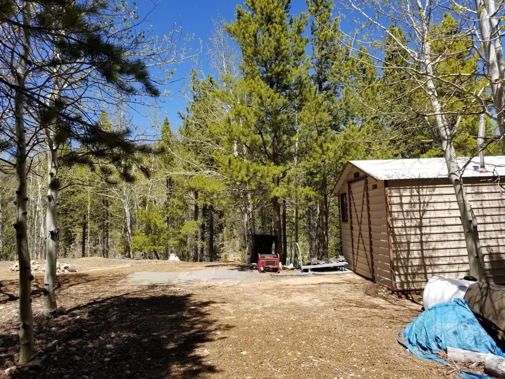 3200 Ottawa Way Red Feather Lakes, CO 80545