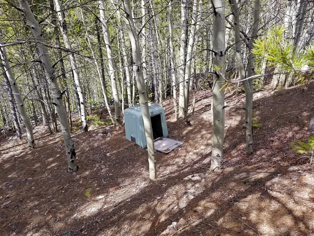 3200 Ottawa Way Red Feather Lakes, CO 80545