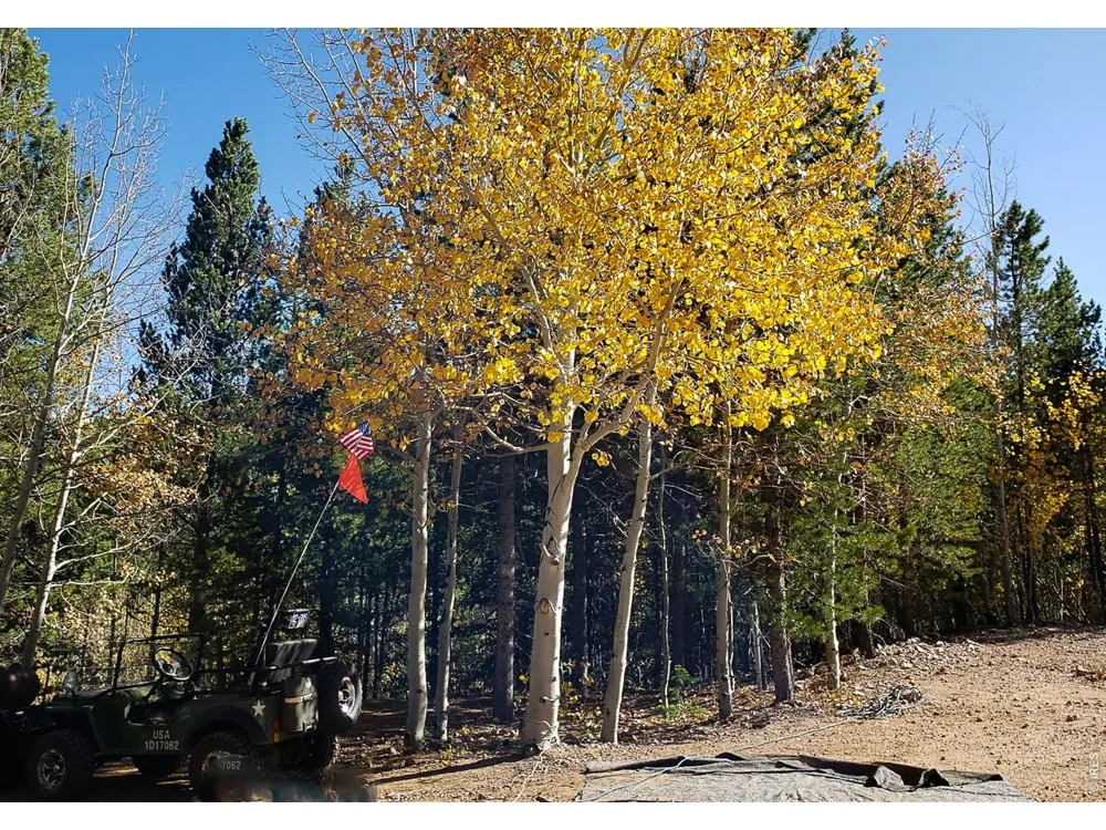 3200 Ottawa Way Red Feather Lakes, CO 80545