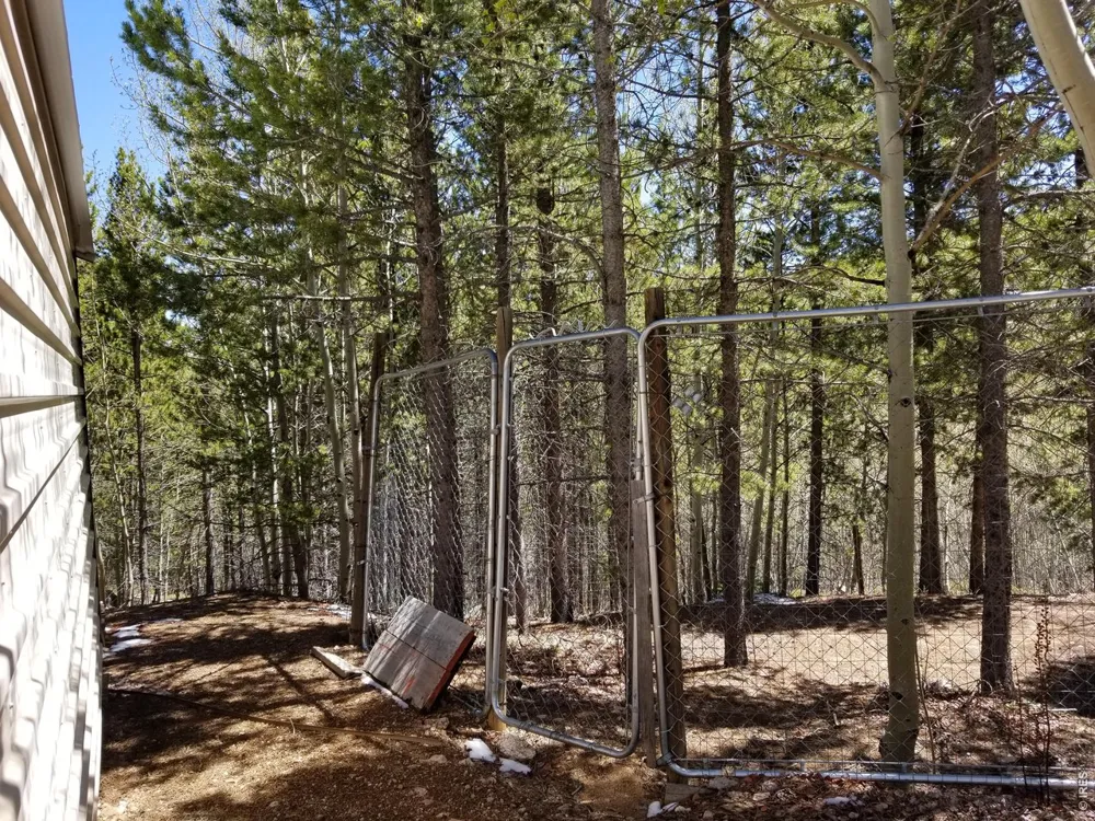 3200 Ottawa Way Red Feather Lakes, CO 80545