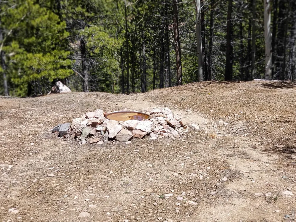 3200 Ottawa Way Red Feather Lakes, CO 80545