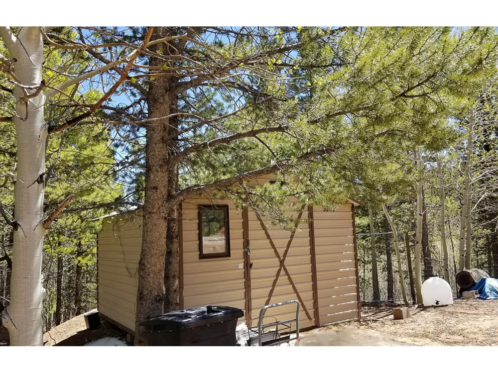 3200 Ottawa Way Red Feather Lakes, CO 80545