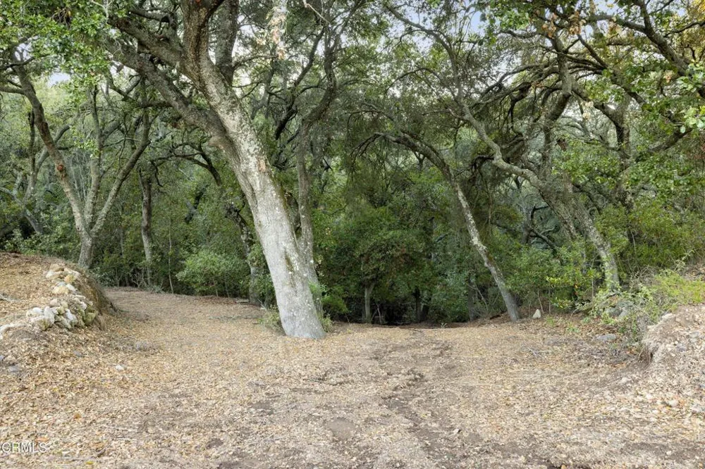 6572 Stagecoach Road Santa Barbara, CA 93105