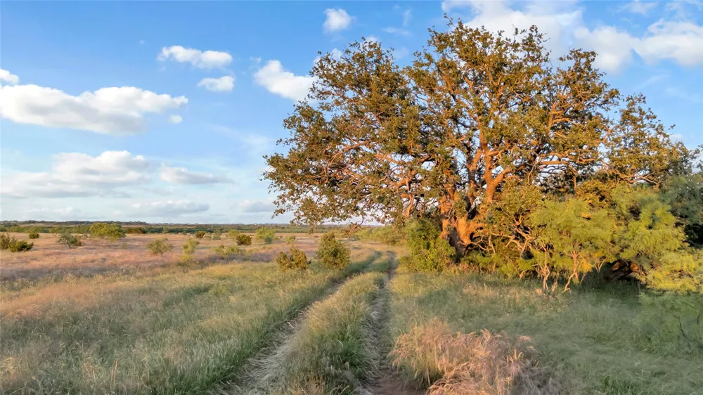 824 County Road 409 Talpa, TX 76882
