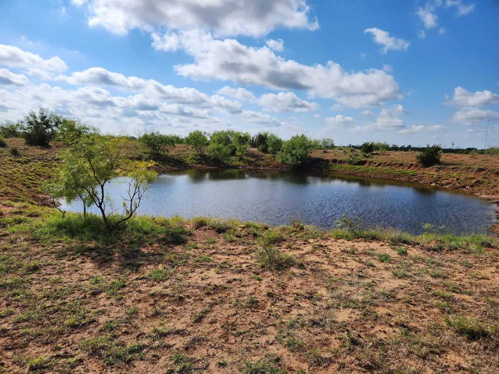 824 County Road 409 Talpa, TX 76882