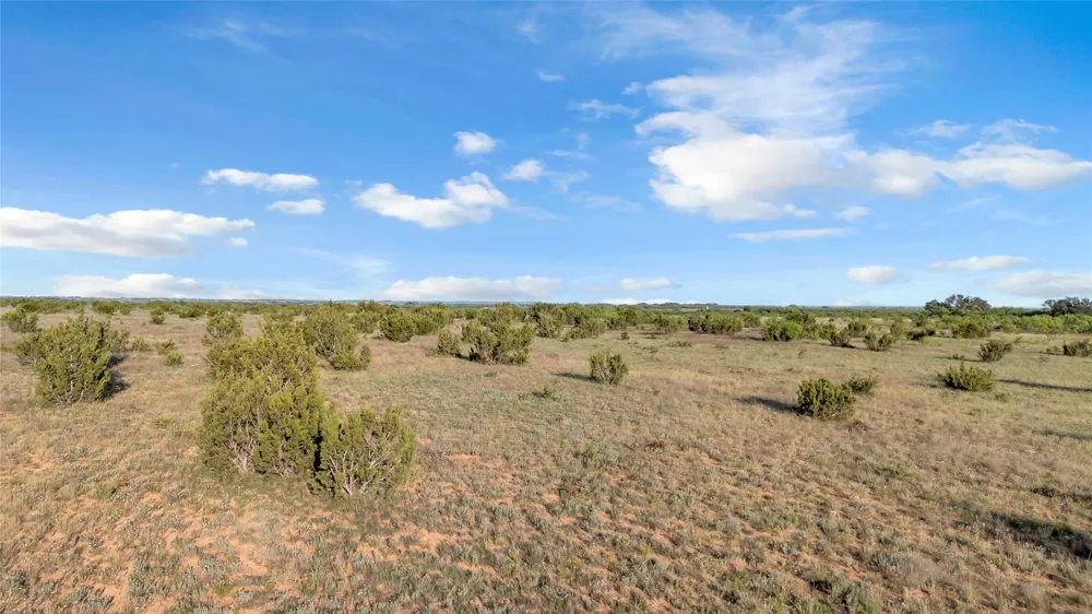 824 County Road 409 Talpa, TX 76882