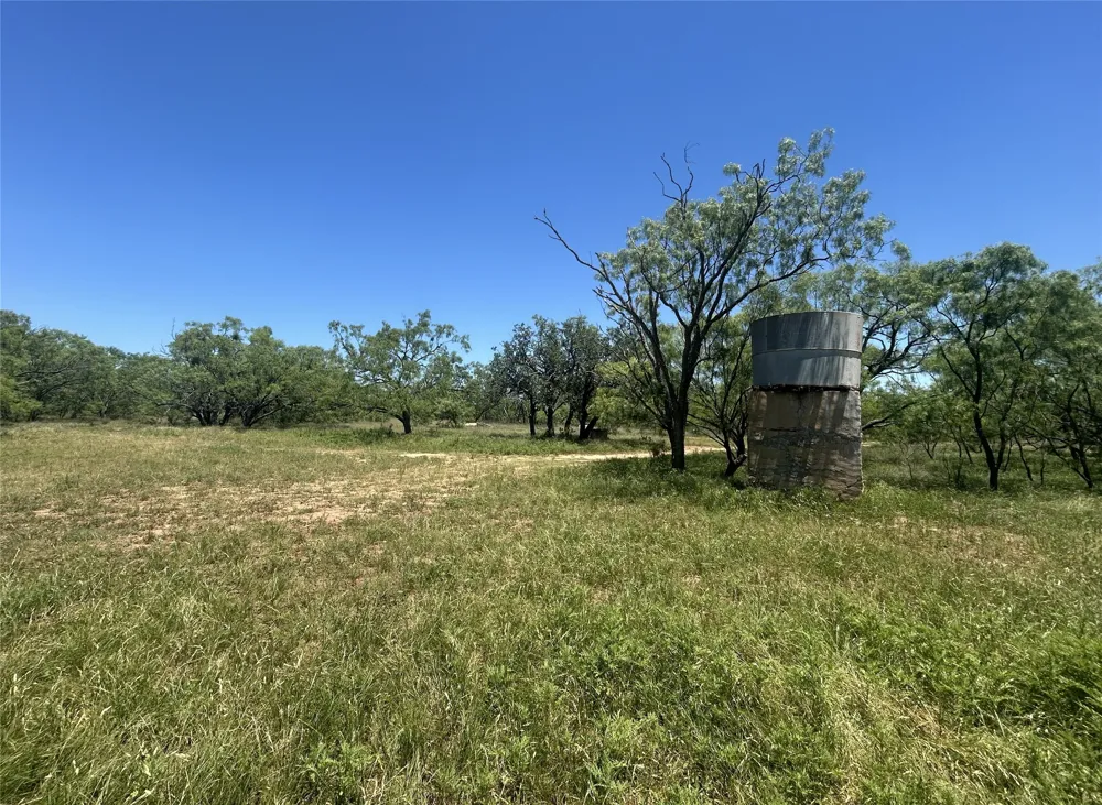824 County Road 409 Talpa, TX 76882