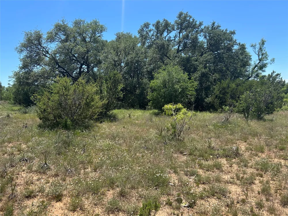 824 County Road 409 Talpa, TX 76882