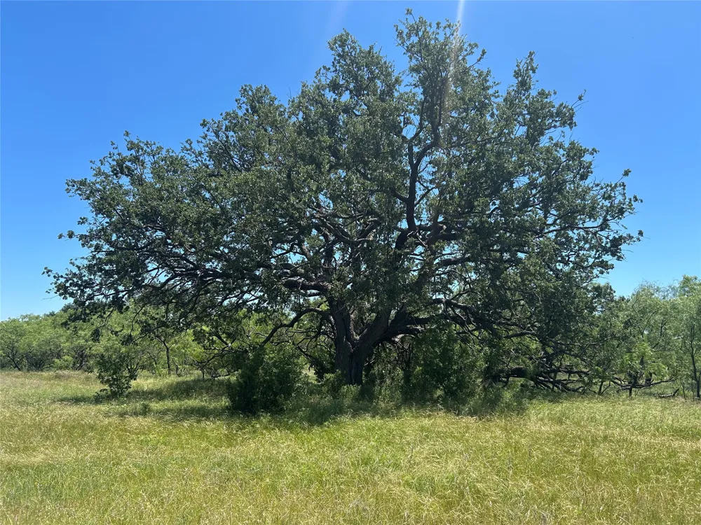 824 County Road 409 Talpa, TX 76882