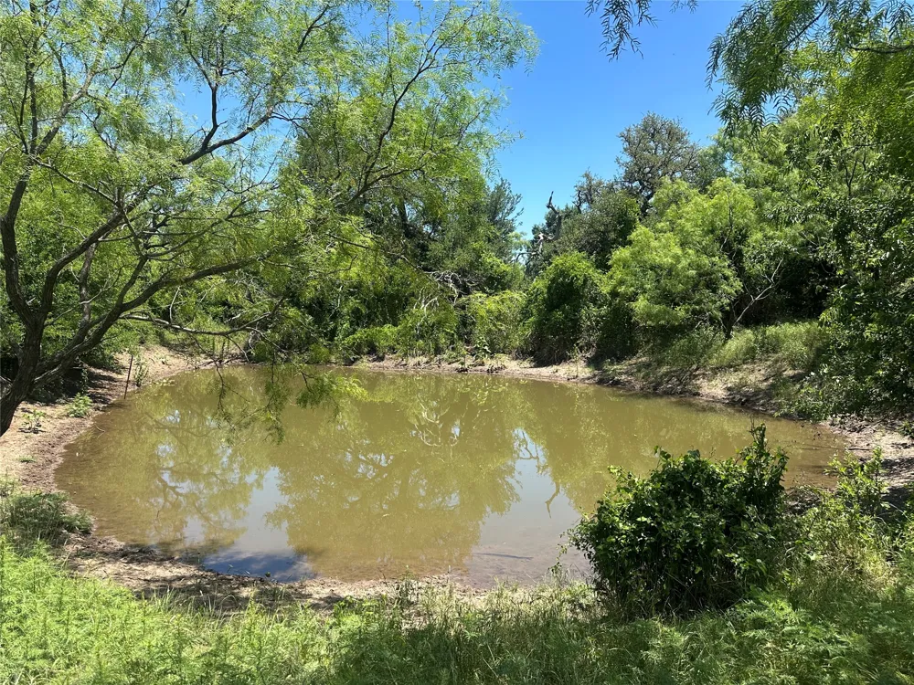 824 County Road 409 Talpa, TX 76882