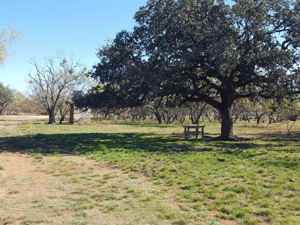 824 County Road 409 Talpa, TX 76882