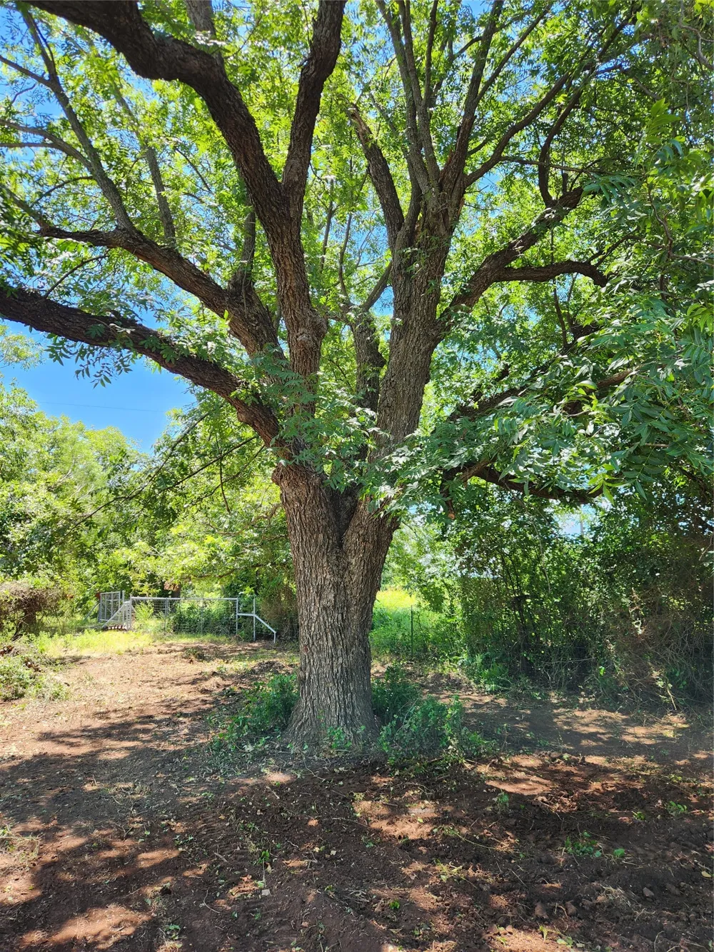 824 County Road 409 Talpa, TX 76882