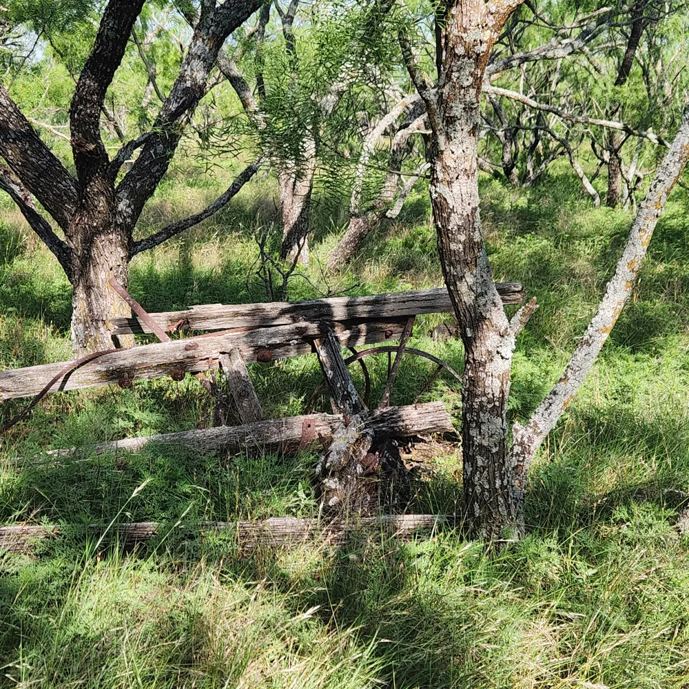 824 County Road 409 Talpa, TX 76882