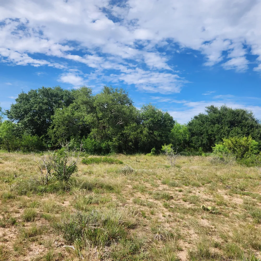 824 County Road 409 Talpa, TX 76882