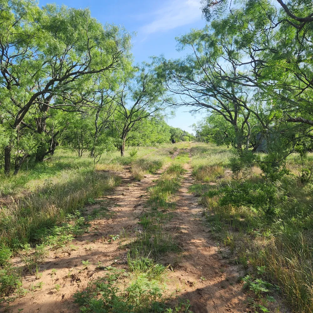 824 County Road 409 Talpa, TX 76882