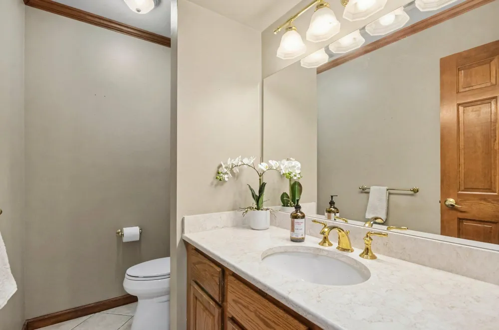 17107 Maple Hill Drive Northville, MI 48168