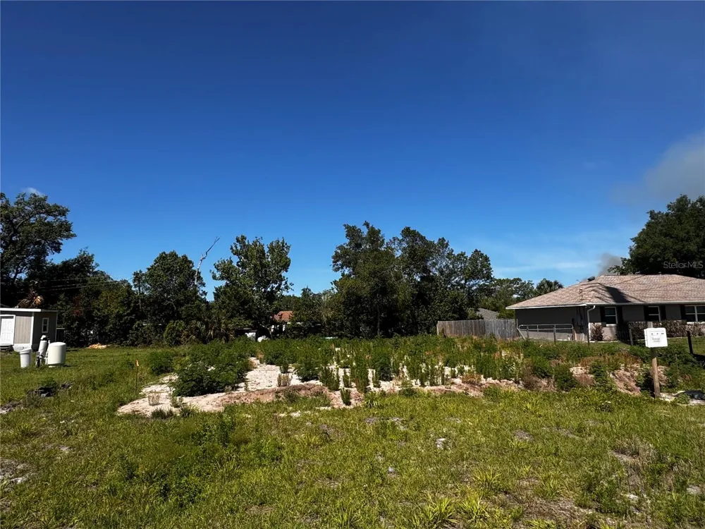 250 WILLIAMS AVENUE Orange City, FL 32763