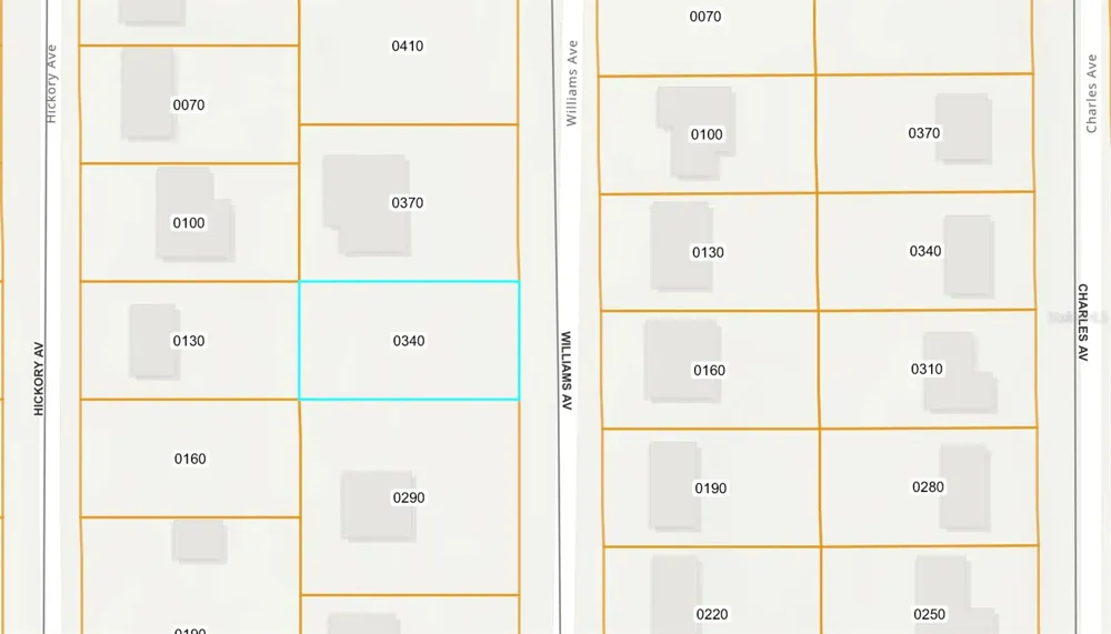 250 WILLIAMS AVENUE Orange City, FL 32763
