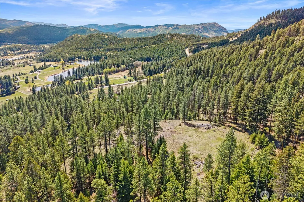 45 XXXX Klondike Republic, WA 99166
