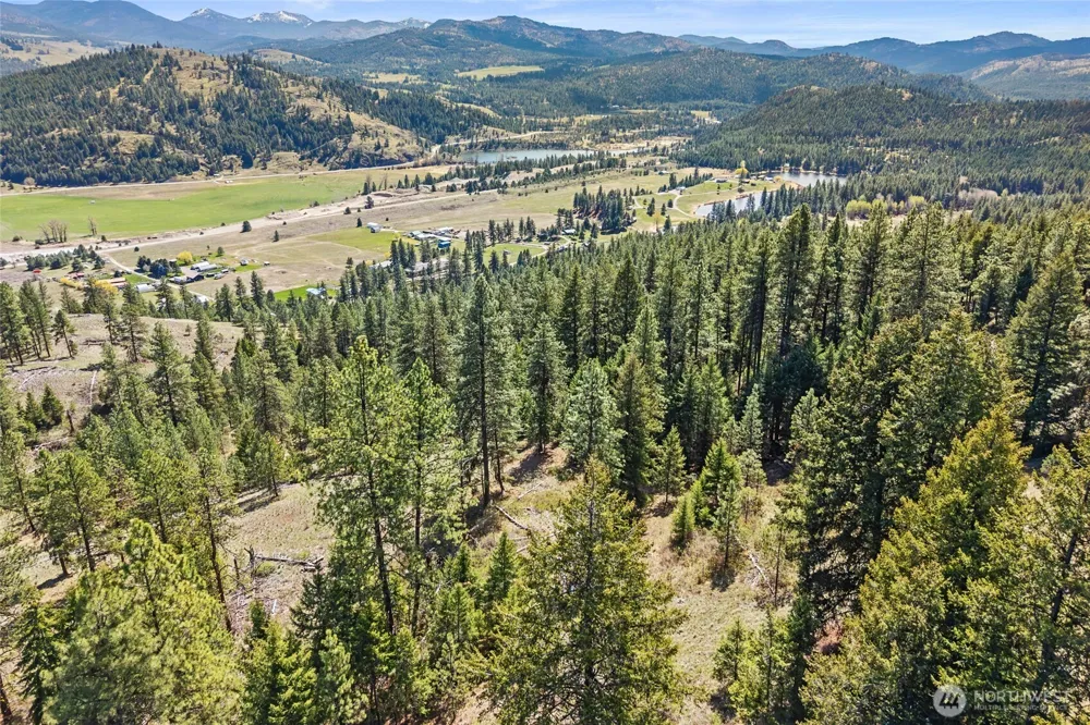 45 XXXX Klondike Republic, WA 99166