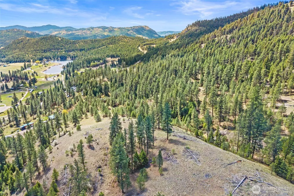 45 XXXX Klondike Republic, WA 99166