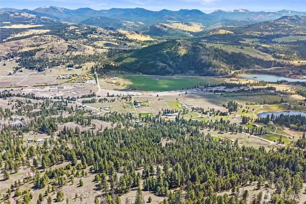 45 XXXX Klondike Republic, WA 99166