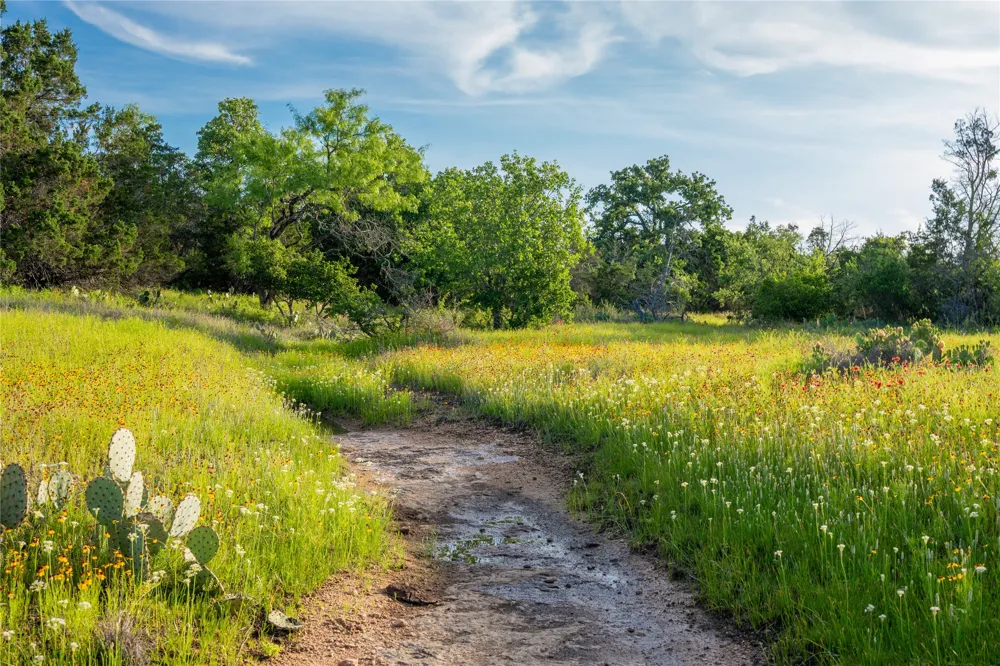 3501 CR120 Marble Falls, TX 78654