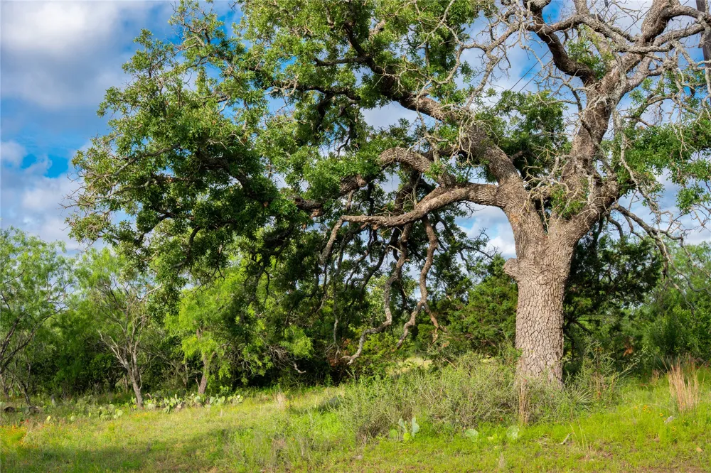 3501 CR120 Marble Falls, TX 78654