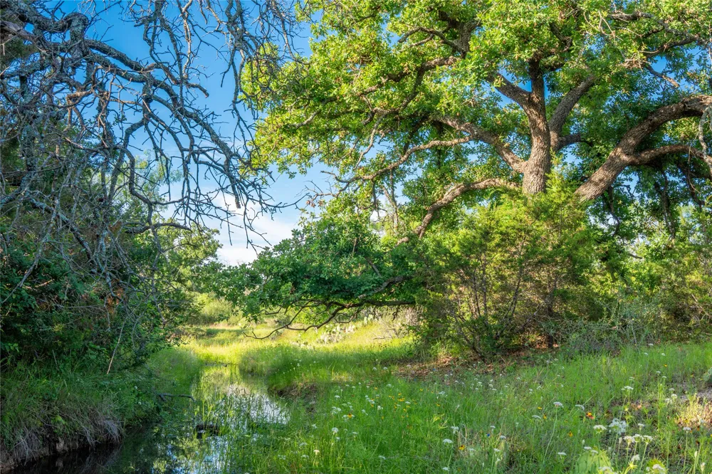 3501 CR120 Marble Falls, TX 78654