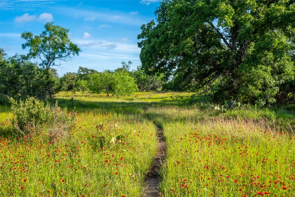 3501 CR120 Marble Falls, TX 78654