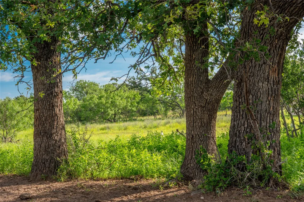 3501 CR120 Marble Falls, TX 78654