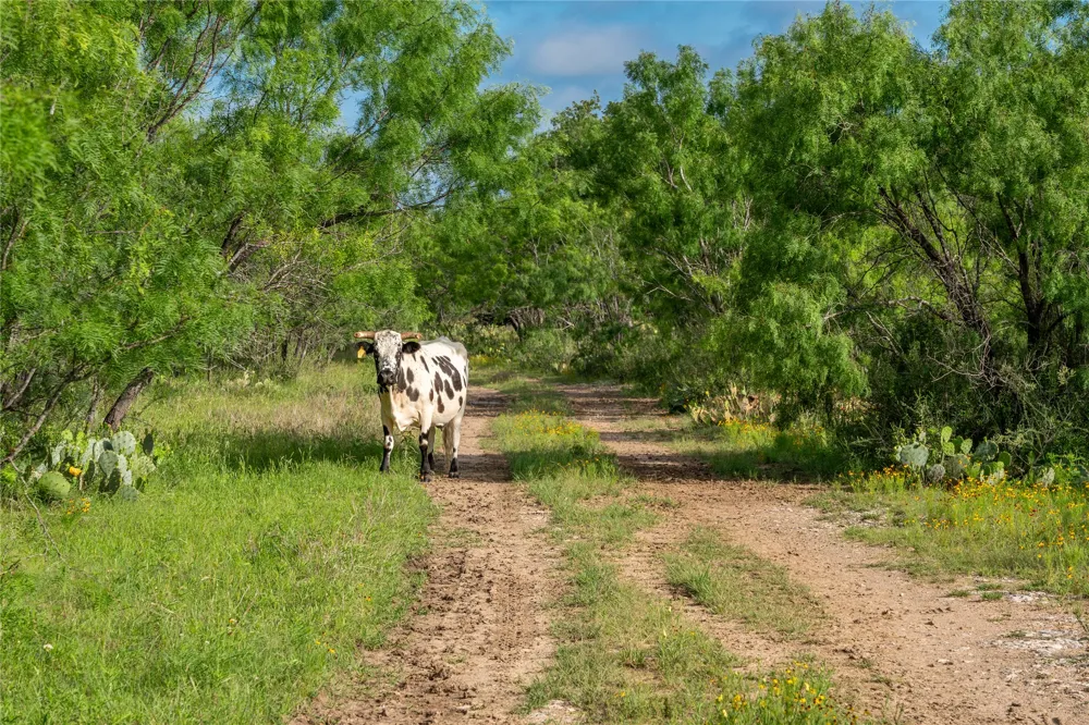 3501 CR120 Marble Falls, TX 78654