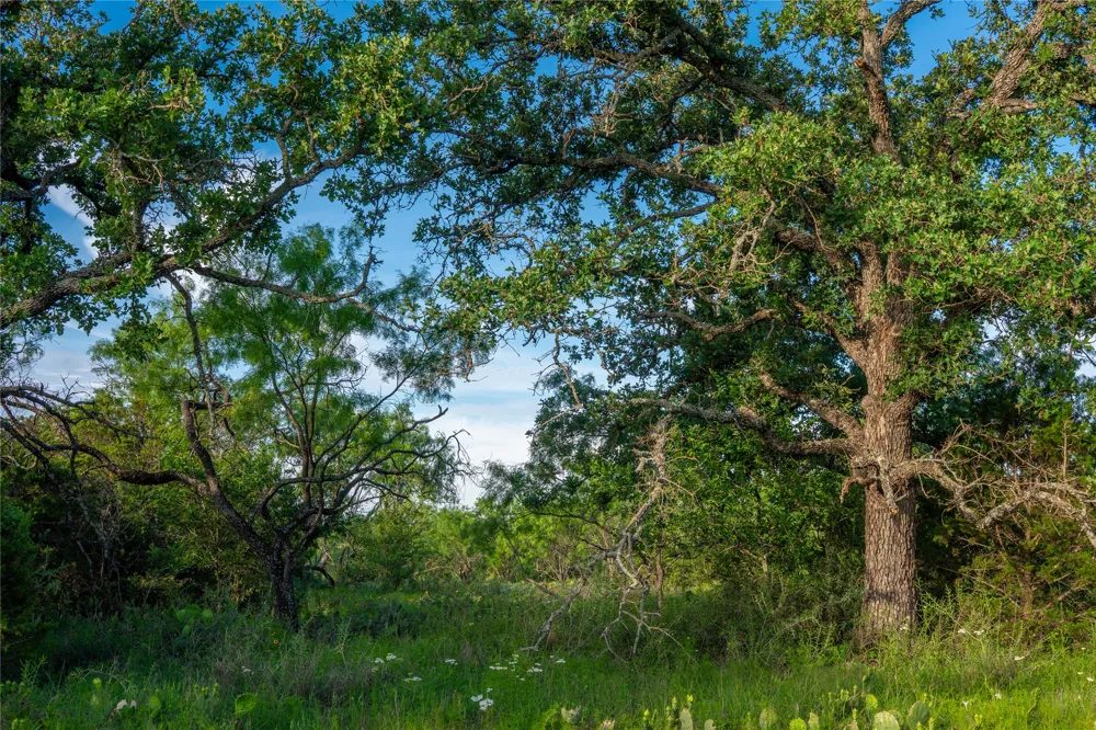 3501 CR120 Marble Falls, TX 78654