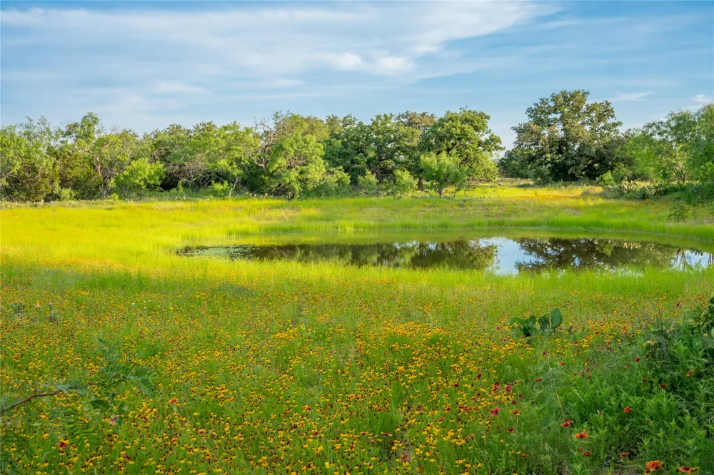 3501 CR120 Marble Falls, TX 78654