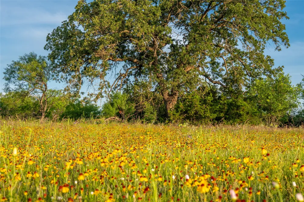 3501 CR120 Marble Falls, TX 78654